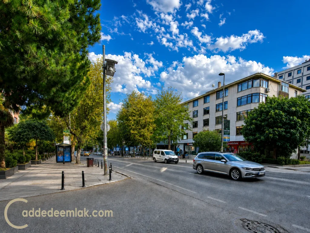 Kadıköy sosyolojik yapısı ve lüks konutlarda nezih komşuluk ilişkileri