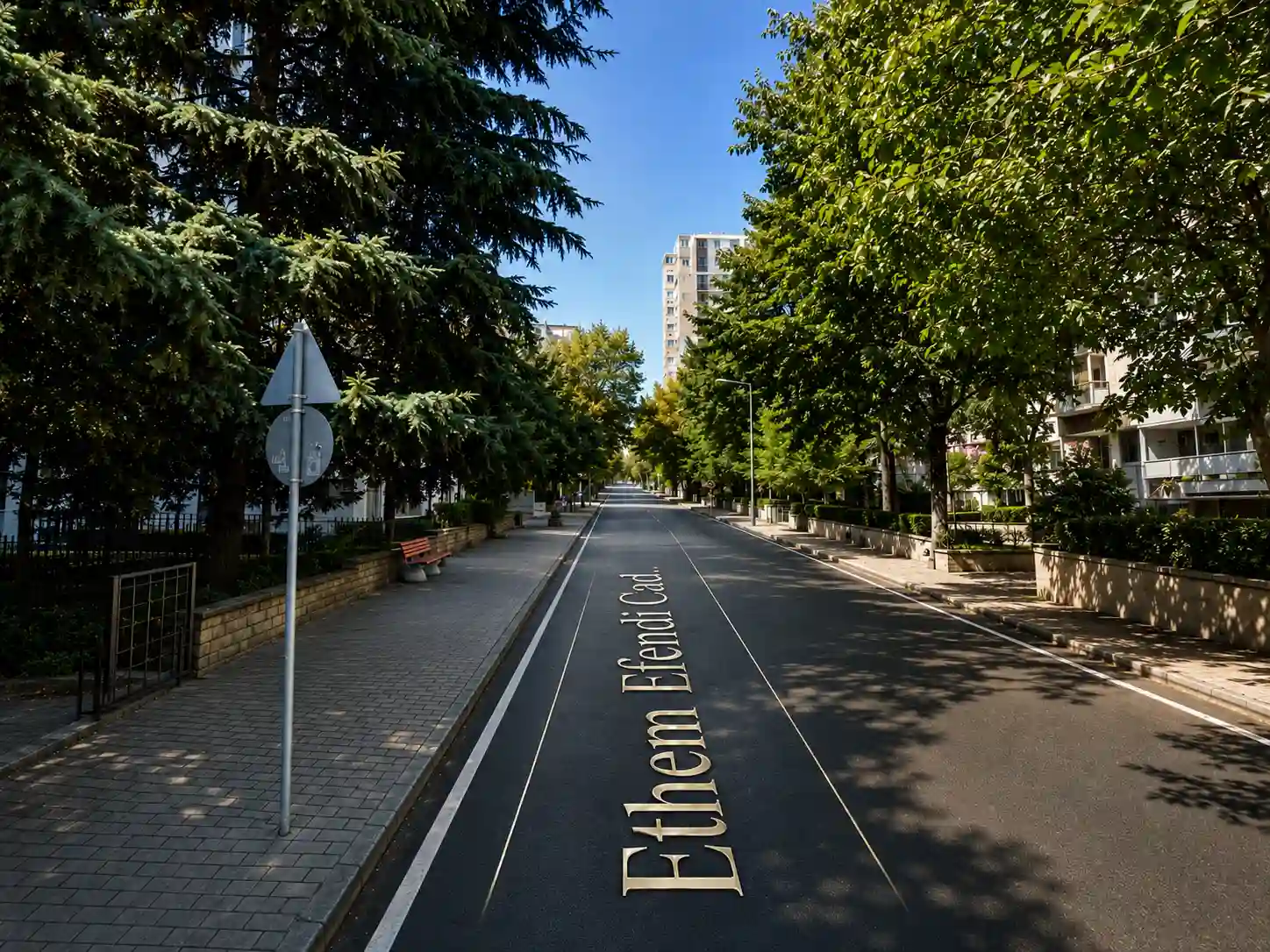 Erenköy Ethem Efendi Caddesi ve Çınar Dokusu