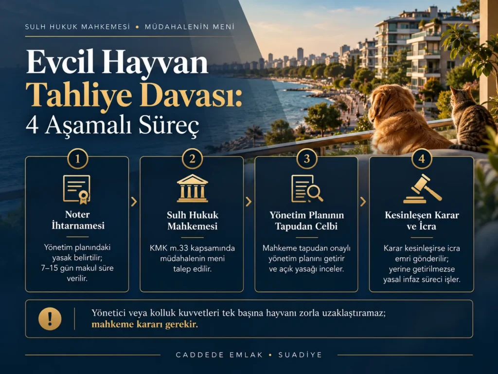 Sulh Hukuk Mahkemesi evcil hayvan tahliye davası ve müdahalenin meni 4 aşamalı yol haritası.